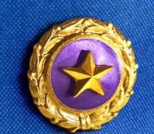 Gold Star Mother's
