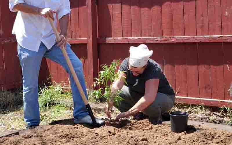 United Relief Foundation Eddie Beard Vet House planting Konni Vukelic